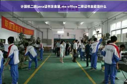 计算机二级java证书含金量,ms office二级证书全称是什么