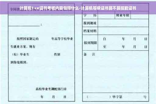 计算机1+x证书考核内容包括什么-计算机等级证书算不算技能证书