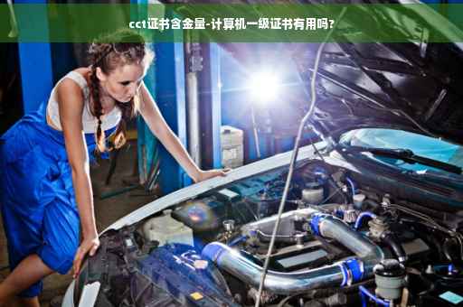 cct证书含金量-计算机一级证书有用吗?