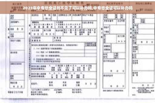 2023年中专毕业证书不见了可以补办吗,中专毕业证可以补办吗