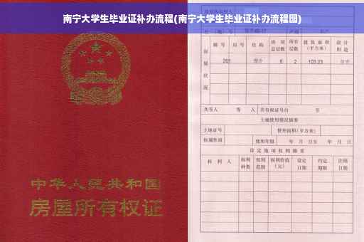 南宁大学生毕业证补办流程(南宁大学生毕业证补办流程图)