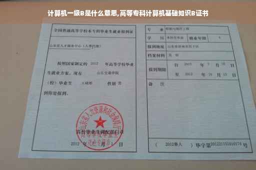 计算机一级B是什么意思,高等专科计算机基础知识B证书
