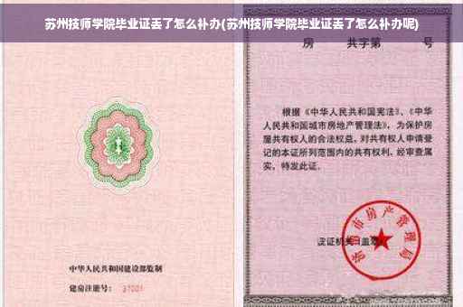 苏州技师学院毕业证丢了怎么补办(苏州技师学院毕业证丢了怎么补办呢)