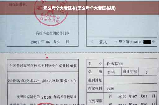 怎么考个大专证书(怎么考个大专证书呢)