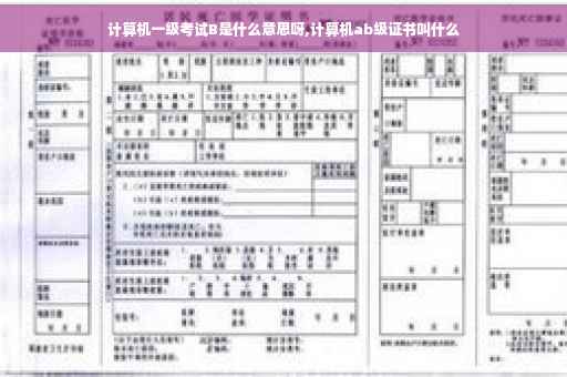 计算机一级考试B是什么意思呀,计算机ab级证书叫什么 计算机一级考试B是什么意思呀,计算机ab级证书叫什么