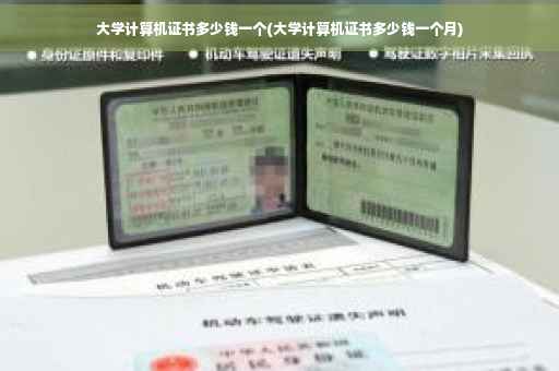 大学计算机证书多少钱一个(大学计算机证书多少钱一个月)