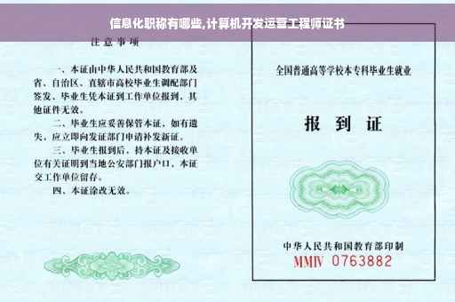信息化职称有哪些,计算机开发运营工程师证书