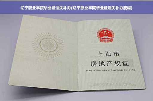 辽宁职业学院毕业证遗失补办(辽宁职业学院毕业证遗失补办流程)