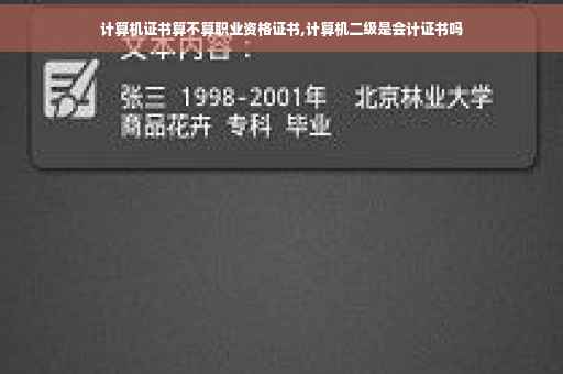 计算机证书算不算职业资格证书,计算机二级是会计证书吗