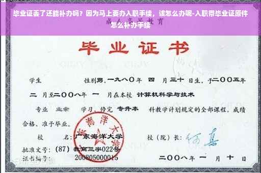 毕业证丢了还能补办吗？因为马上要办入职手续，该怎么办呢-入职带毕业证原件怎么补办手续