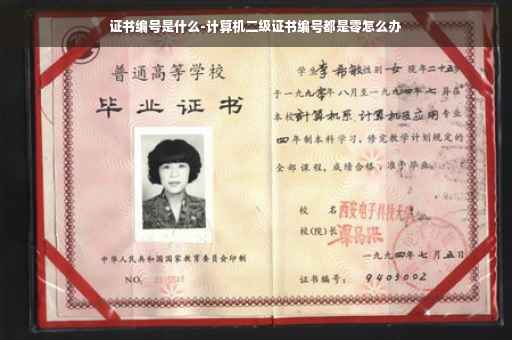 证书编号是什么-计算机二级证书编号都是零怎么办