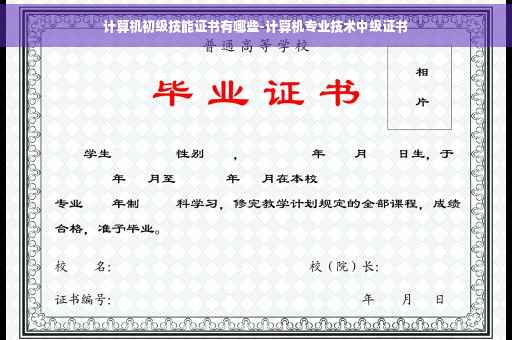 计算机初级技能证书有哪些-计算机专业技术中级证书