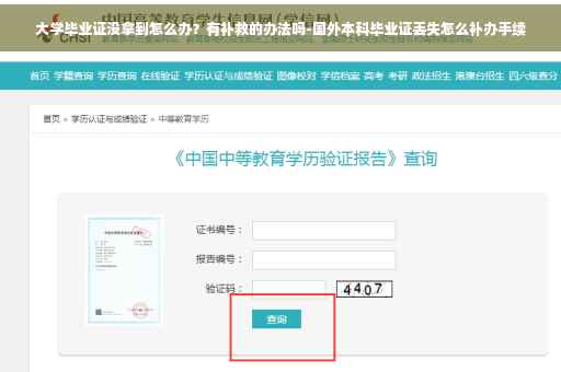大学毕业证没拿到怎么办？有补救的办法吗-国外本科毕业证丢失怎么补办手续