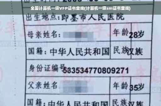 全国计算机一级VFP证书查询(计算机一级sm证书查询)