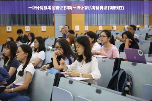 一级计算机考试有证书嘛(一级计算机考试有证书嘛现在)