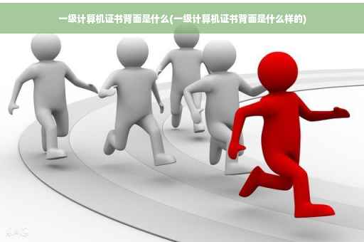 一级计算机证书背面是什么(一级计算机证书背面是什么样的)