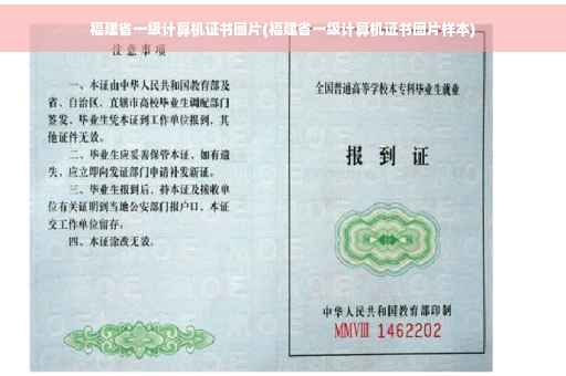 福建省一级计算机证书图片(福建省一级计算机证书图片样本)