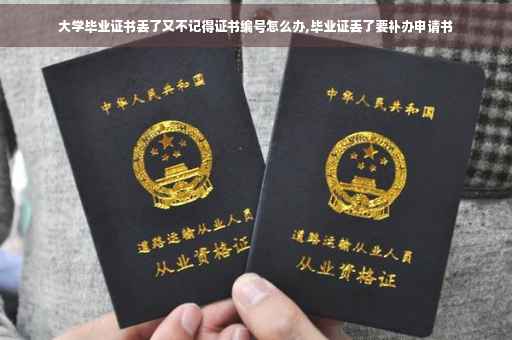 大学毕业证书丢了又不记得证书编号怎么办,毕业证丢了要补办申请书