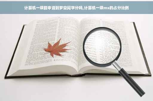 计算机一级能申请到梦空间学分吗,计算机一级ms的占分比例