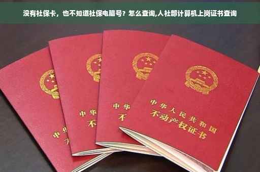 没有社保卡，也不知道社保电脑号？怎么查询,人社部计算机上岗证书查询