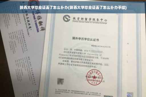 陕西大学毕业证丢了怎么补办(陕西大学毕业证丢了怎么补办手续)