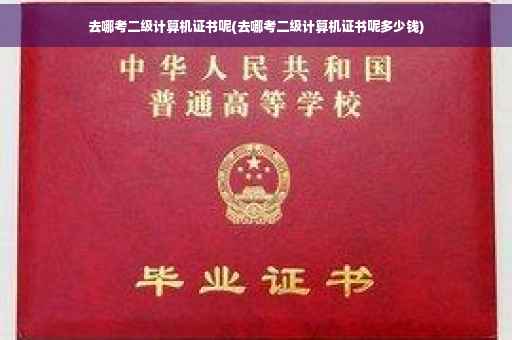 去哪考二级计算机证书呢(去哪考二级计算机证书呢多少钱) 去哪考二级计算机证书呢(去哪考二级计算机证书呢多少钱)