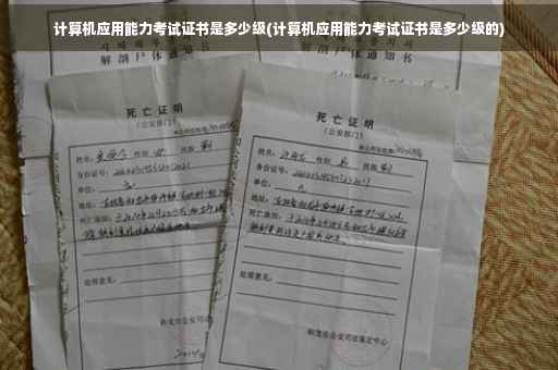 计算机应用能力考试证书是多少级(计算机应用能力考试证书是多少级的)