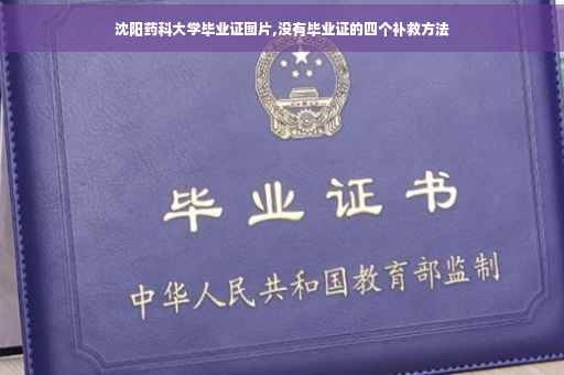 沈阳药科大学毕业证图片,没有毕业证的四个补救方法
