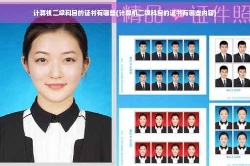 计算机二级科目的证书有哪些(计算机二级科目的证书有哪些内容)