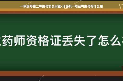 一级编号和二级编号怎么设置-计算机一级证书编号有什么用