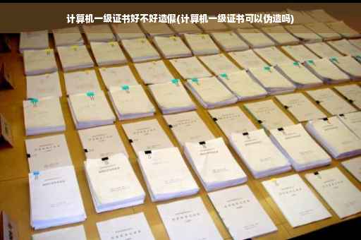 计算机一级证书好不好造假(计算机一级证书可以伪造吗) 计算机一级证书好不好造假(计算机一级证书可以伪造吗)