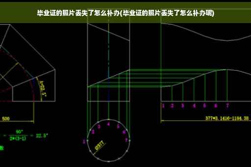 毕业证的照片丢失了怎么补办(毕业证的照片丢失了怎么补办呢)