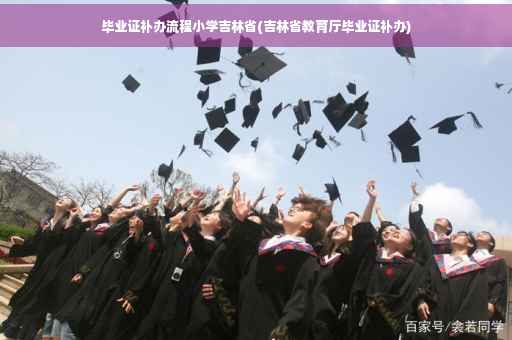 毕业证补办流程小学吉林省(吉林省教育厅毕业证补办)