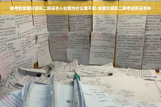 我考的全国计算机二级证书人社网为什么查不到-全国计算机二级考试有证书吗