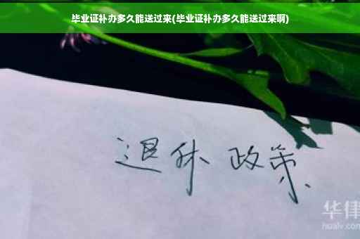 毕业证补办多久能送过来(毕业证补办多久能送过来啊)