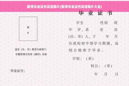 厨师毕业证书高清图片(厨师毕业证书高清图片大全)