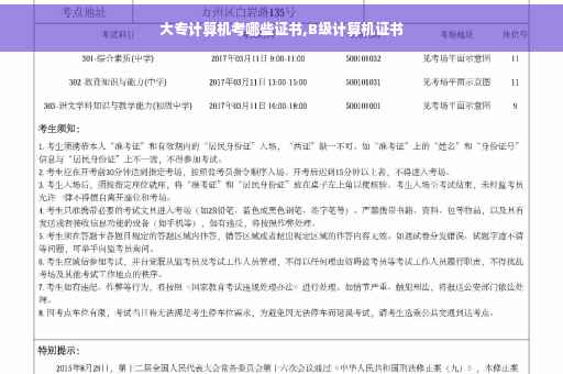 大专计算机考哪些证书,B级计算机证书