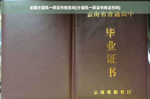 全国计算机一级证书有壳吗(计算机一级证书有证书吗)