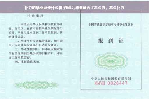 补办的毕业证长什么样子图片,毕业证丢了怎么办，怎么补办
