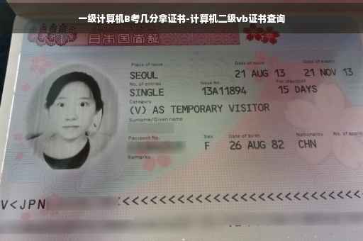 一级计算机B考几分拿证书-计算机二级vb证书查询