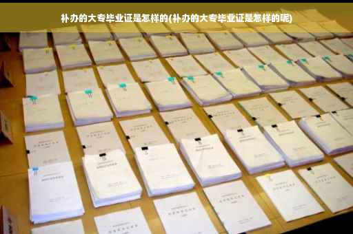 补办的大专毕业证是怎样的(补办的大专毕业证是怎样的呢)