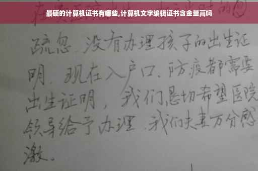 最硬的计算机证书有哪些,计算机文字编辑证书含金量高吗