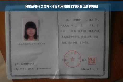 网络证书什么意思-计算机网络技术的职业证书有哪些