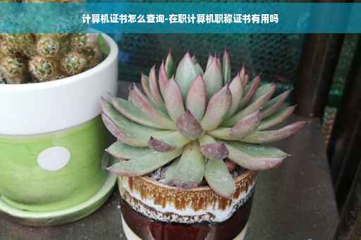 计算机证书怎么查询-在职计算机职称证书有用吗
