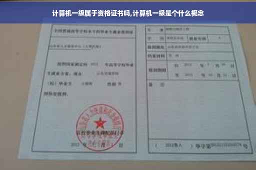 计算机一级属于资格证书吗,计算机一级是个什么概念