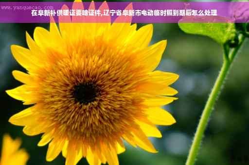 在阜新补供暖证要啥证件,辽宁省阜新市电动临时照到期后怎么处理