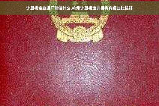 计算机专业进厂能做什么,杭州计算机培训机构有哪些比较好