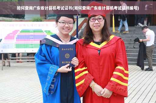 如何查询广东省计算机考试证书(如何查询广东省计算机考试证书编号)