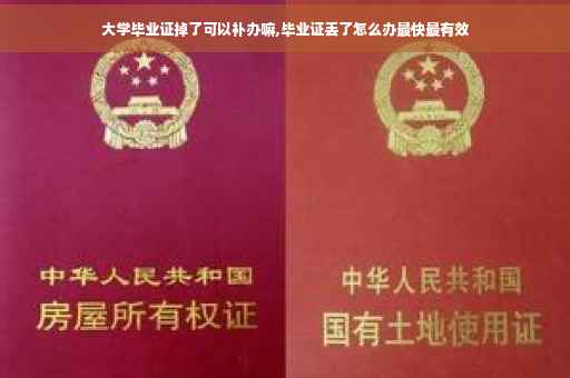 大学毕业证掉了可以补办嘛,毕业证丢了怎么办最快最有效