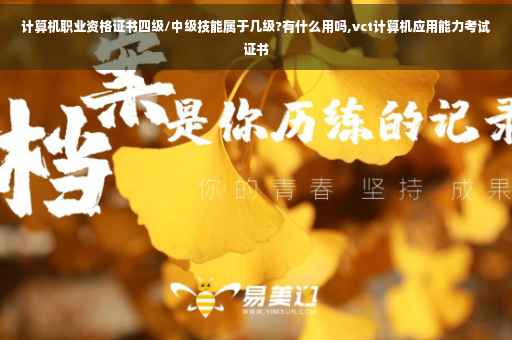 计算机职业资格证书四级/中级技能属于几级?有什么用吗,vct计算机应用能力考试证书